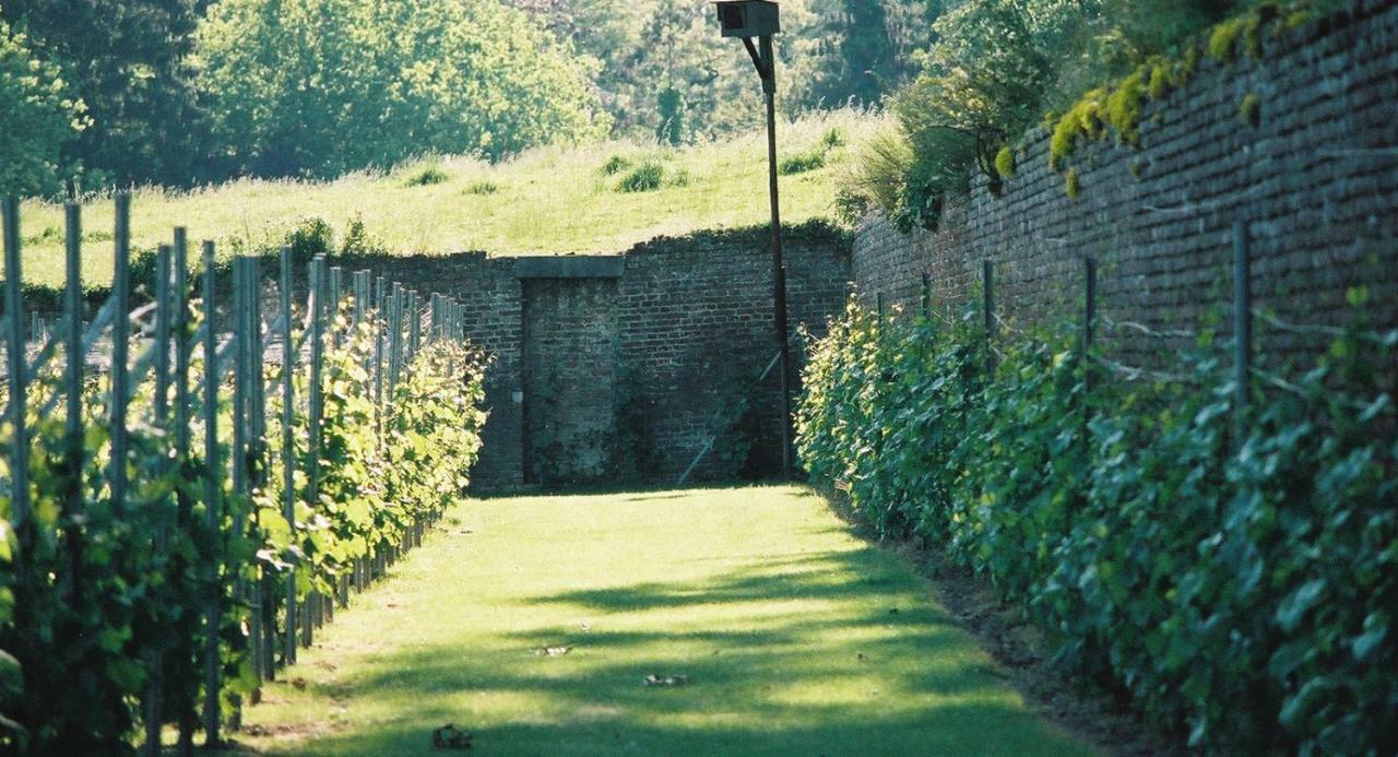 De Pastorie Hotel Borgloon Luaran gambar